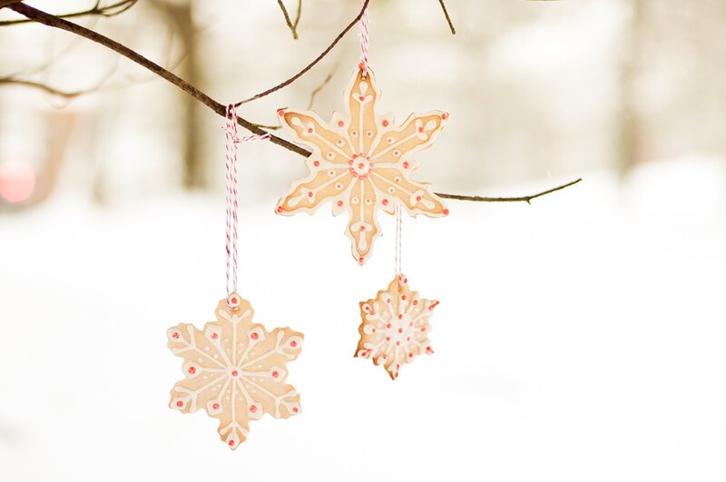 Snowflake Cookies on Branch