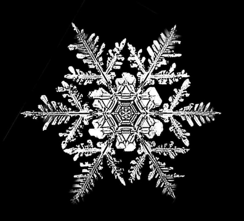 Snowflake Crystal — Black, Detailed