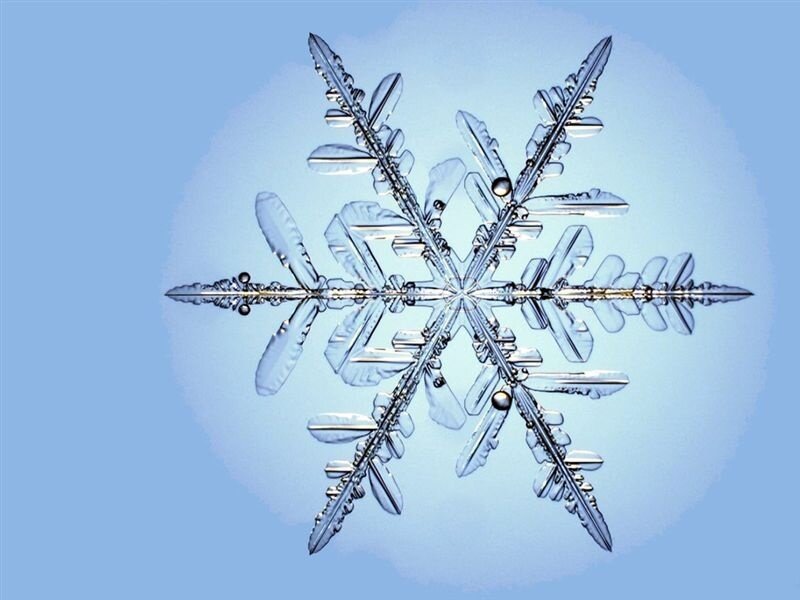 Snowflake Crystal — Blue, Calm, Photograph, Ice
