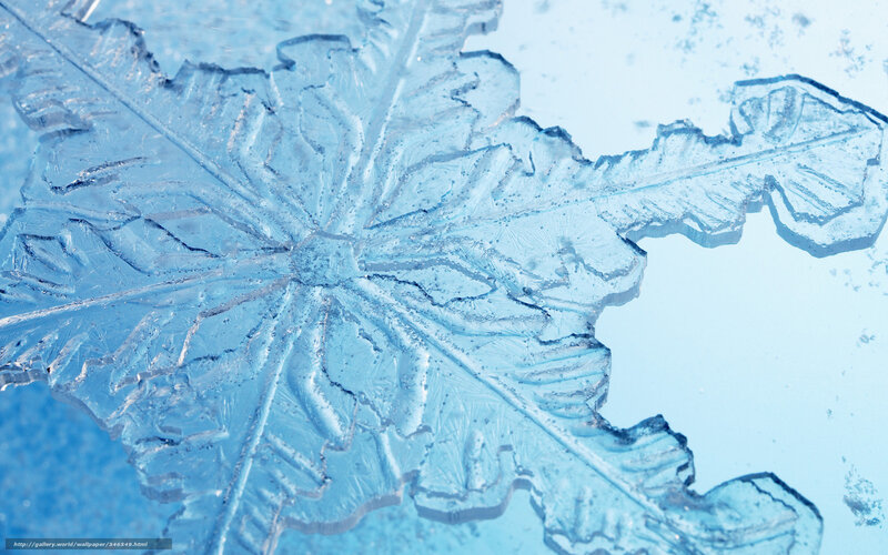 Snowflake Crystal — Blue, Calm, Winter, Photograph, Ice