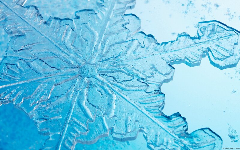 Snowflake Crystal — Blue, Calm, Winter, Photograph