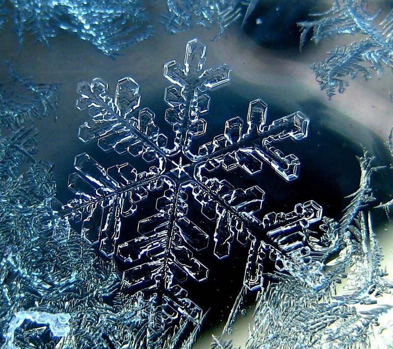 Snowflake Crystal — Blue, Cold, Winter, Photograph, Ice