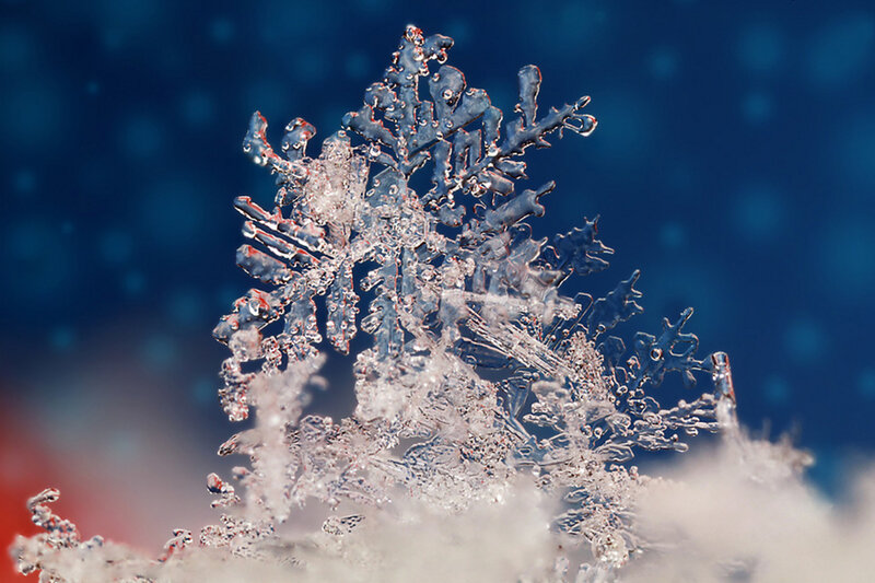 Snowflake Crystal — Blue, Cold, Winter, Photograph
