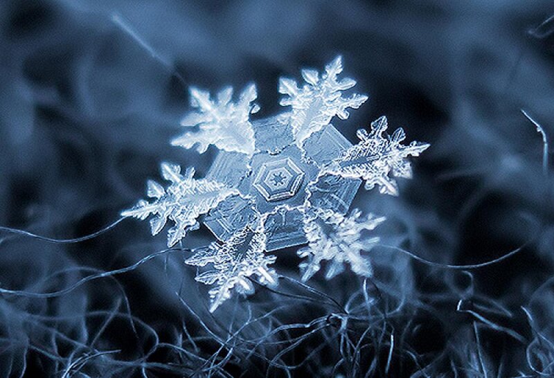 Snowflake Crystal — Blue, Cold, Winter