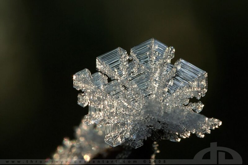 Snowflake Crystal — White, Dramatic, Photograph