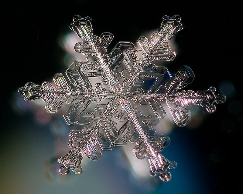 Snowflake Crystal — White, Dramatic