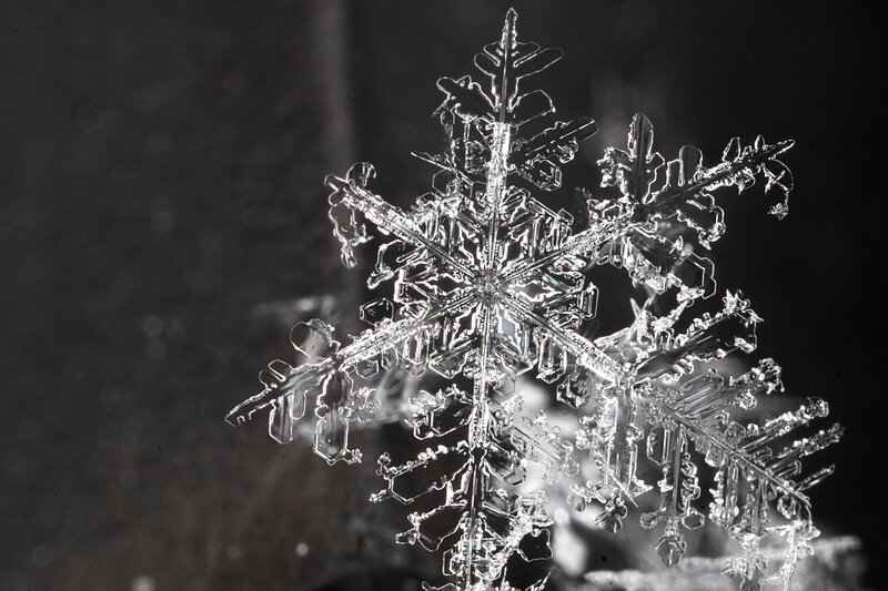 Snowflake Crystal — White, Dramatic, Winter