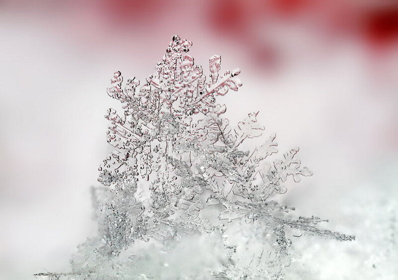 Snowflake Crystal — White, Serene
