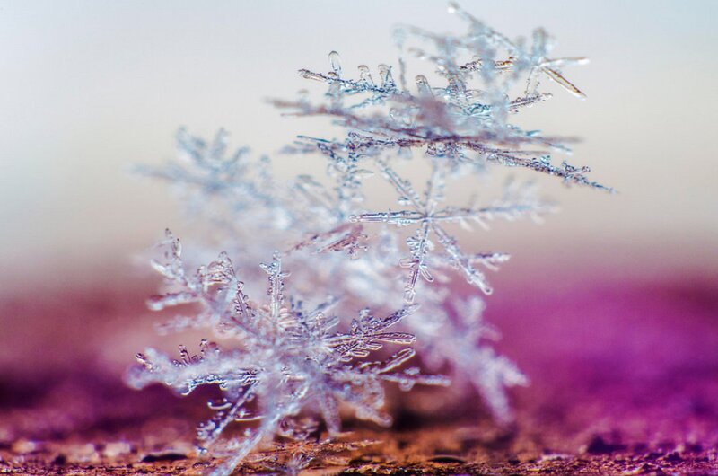 Snowflake Crystals — White, Calm