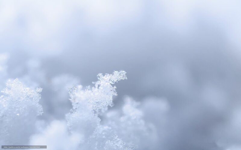 Snowflake Crystals — White, Calm, Winter