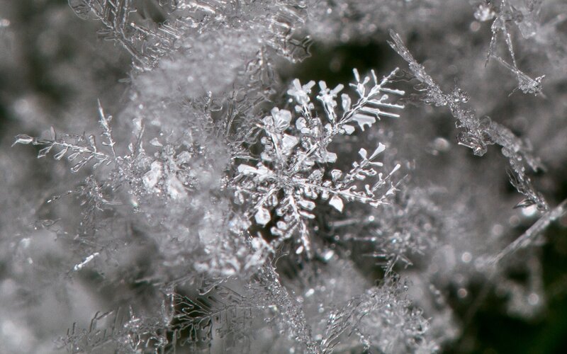 Snowflake Crystals — White, Cold, Winter, Photograph