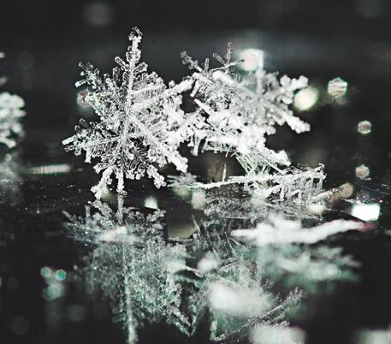 Snowflake Crystals — White, Detailed