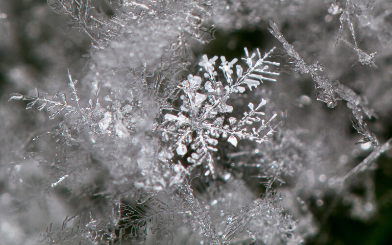 Snowflake Crystals — White