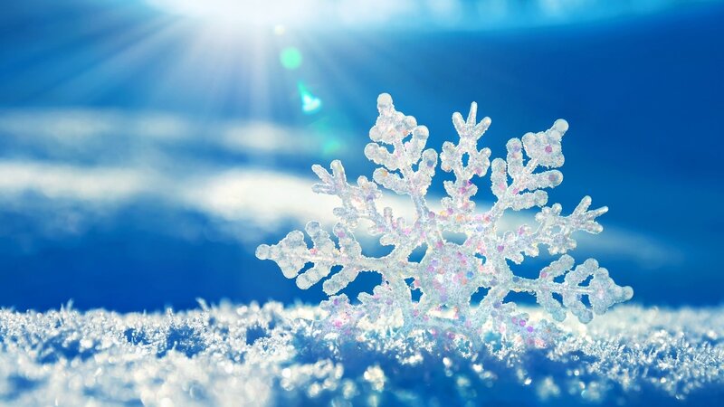 Snowflake in sunlight