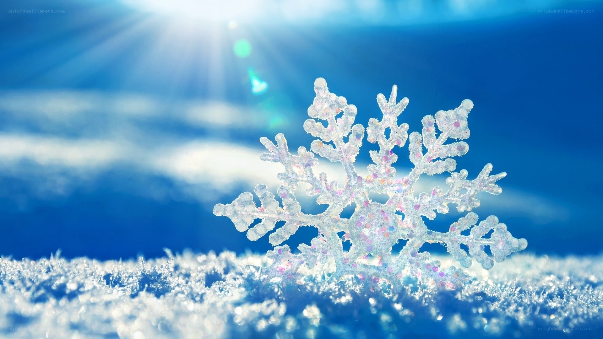 Snowflake in sunlight