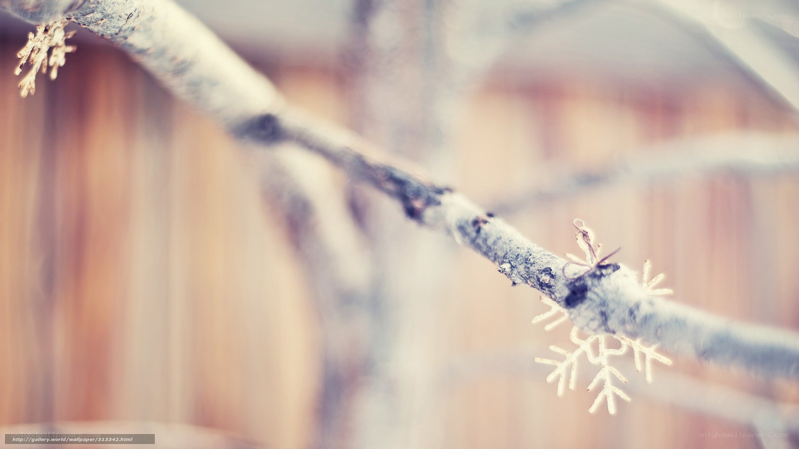 snowflake on a branch