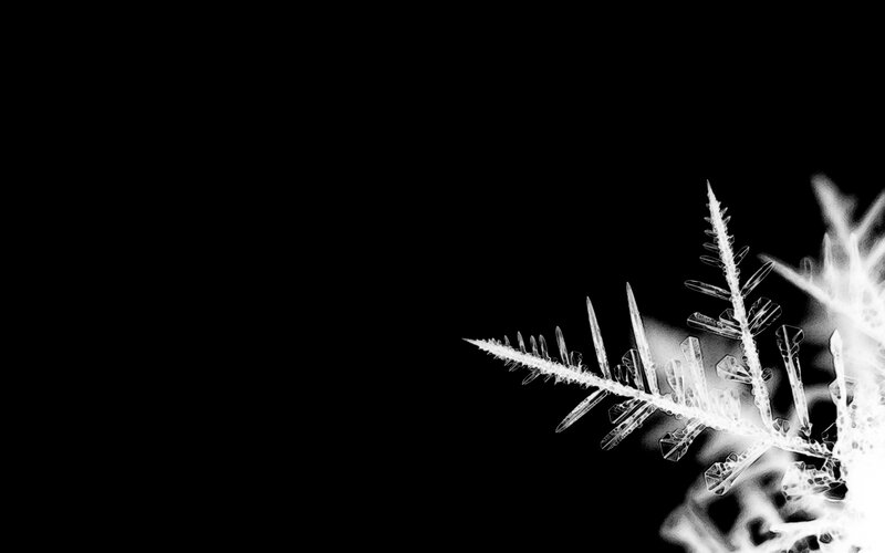 Snowflake on Black Background — Dramatic