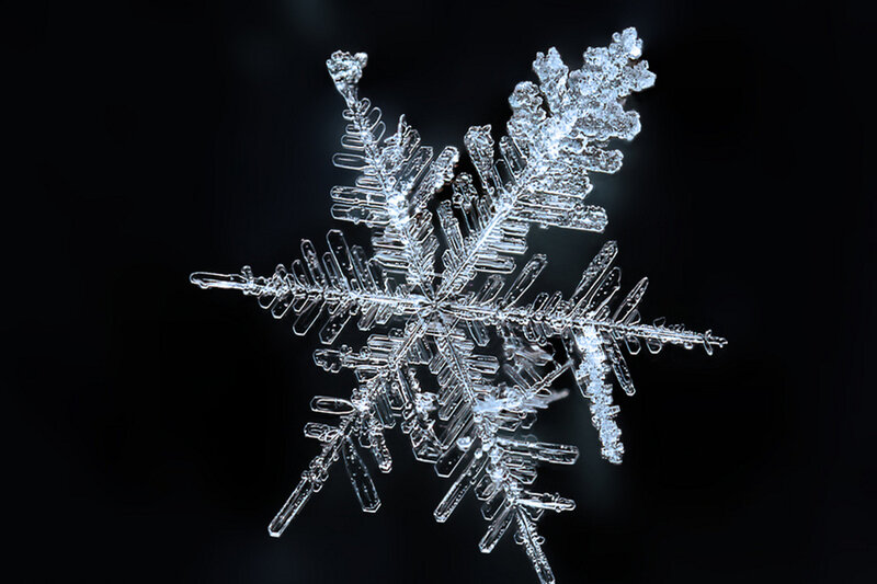 Snowflake on Black Background