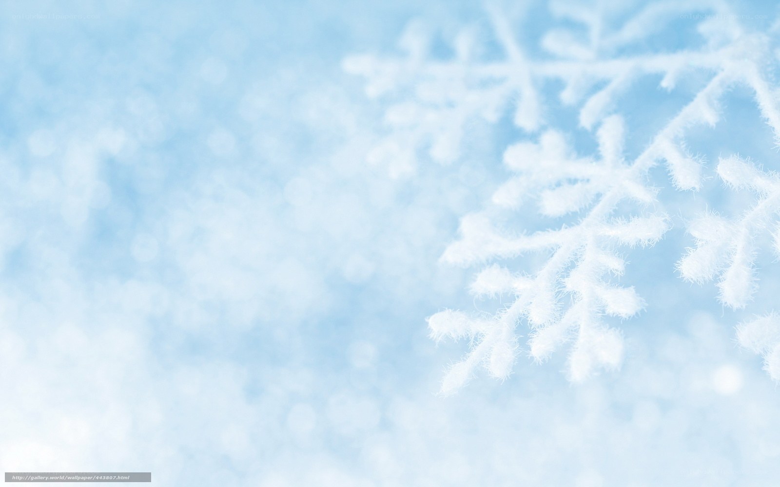 snowflake on blue background