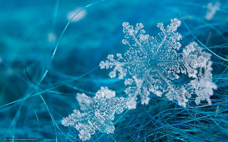 Snowflake on Blue Fibers — Calm, Winter