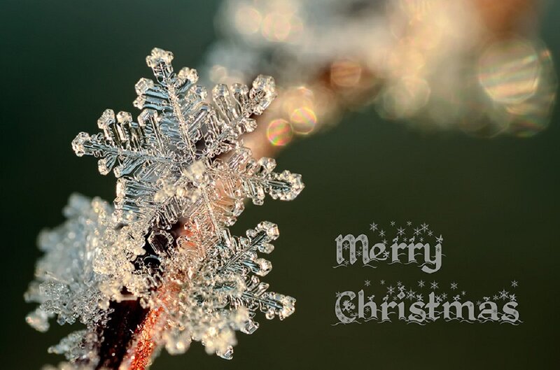 Snowflake on Branch — White