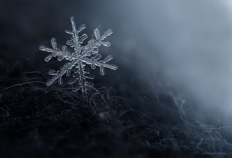 Snowflake on Dark Fibers