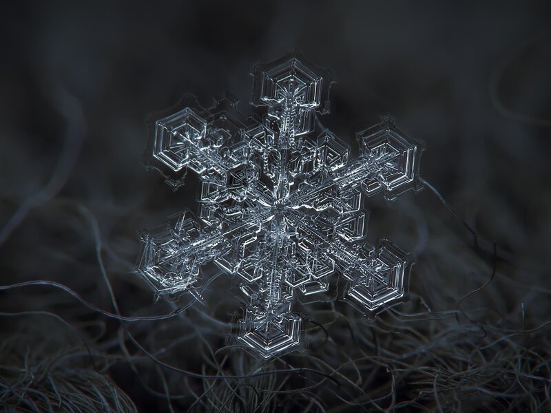 Snowflake on Dark Surface — Black, Dramatic