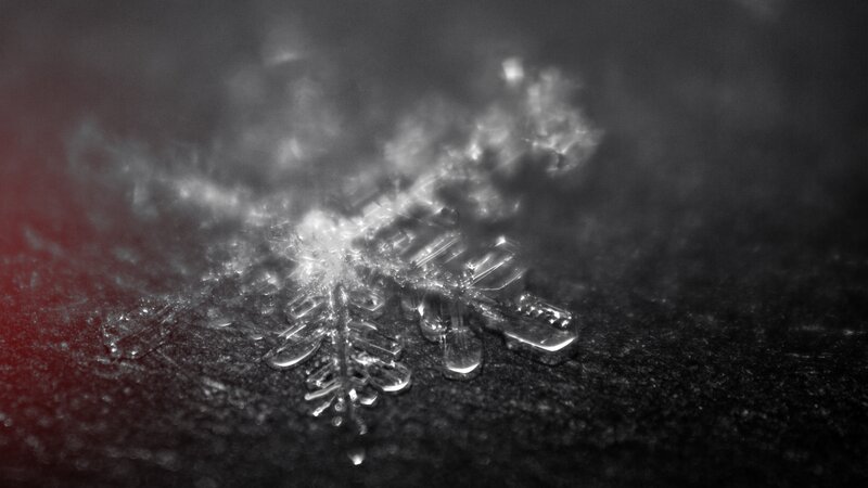 Snowflake on Dark Surface — Black