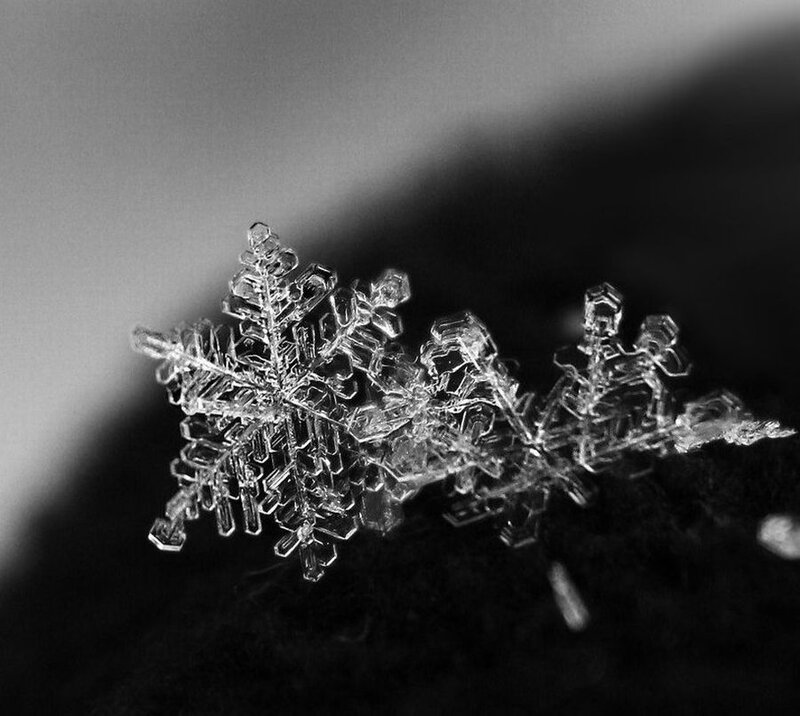 Snowflake on Dark Surface