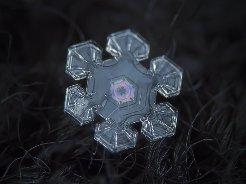 Snowflake on Dark Surface — White, Dramatic