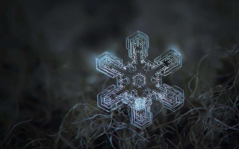 Snowflake on Dark Surface — White