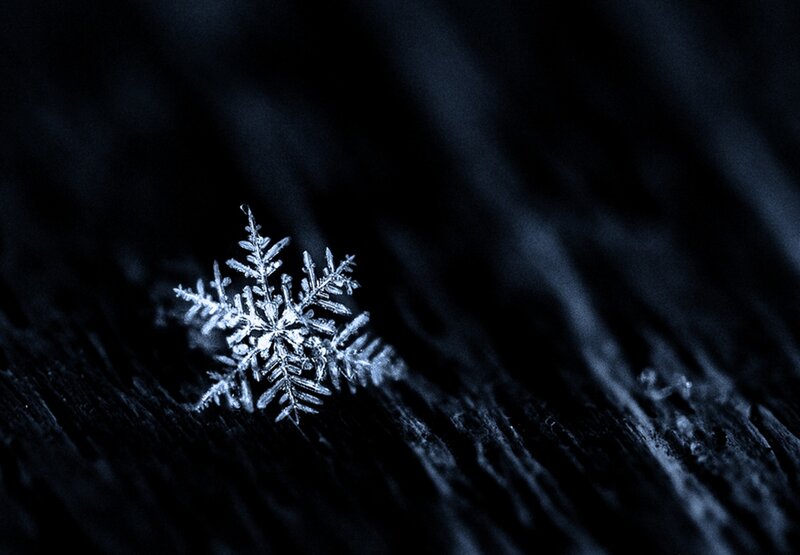 Snowflake on Dark Wood