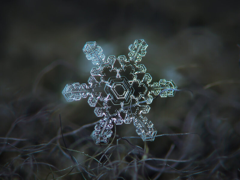 Snowflake on Fibers