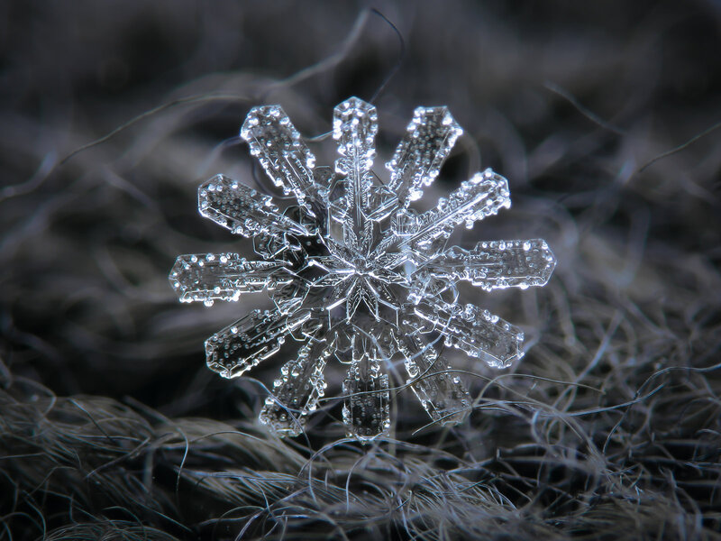 Snowflake on Fibers — White