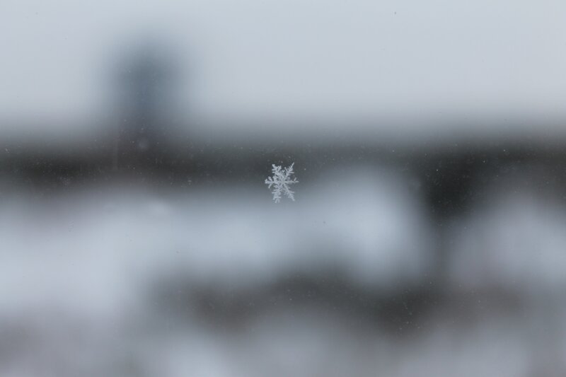 Snowflake on Glass — White