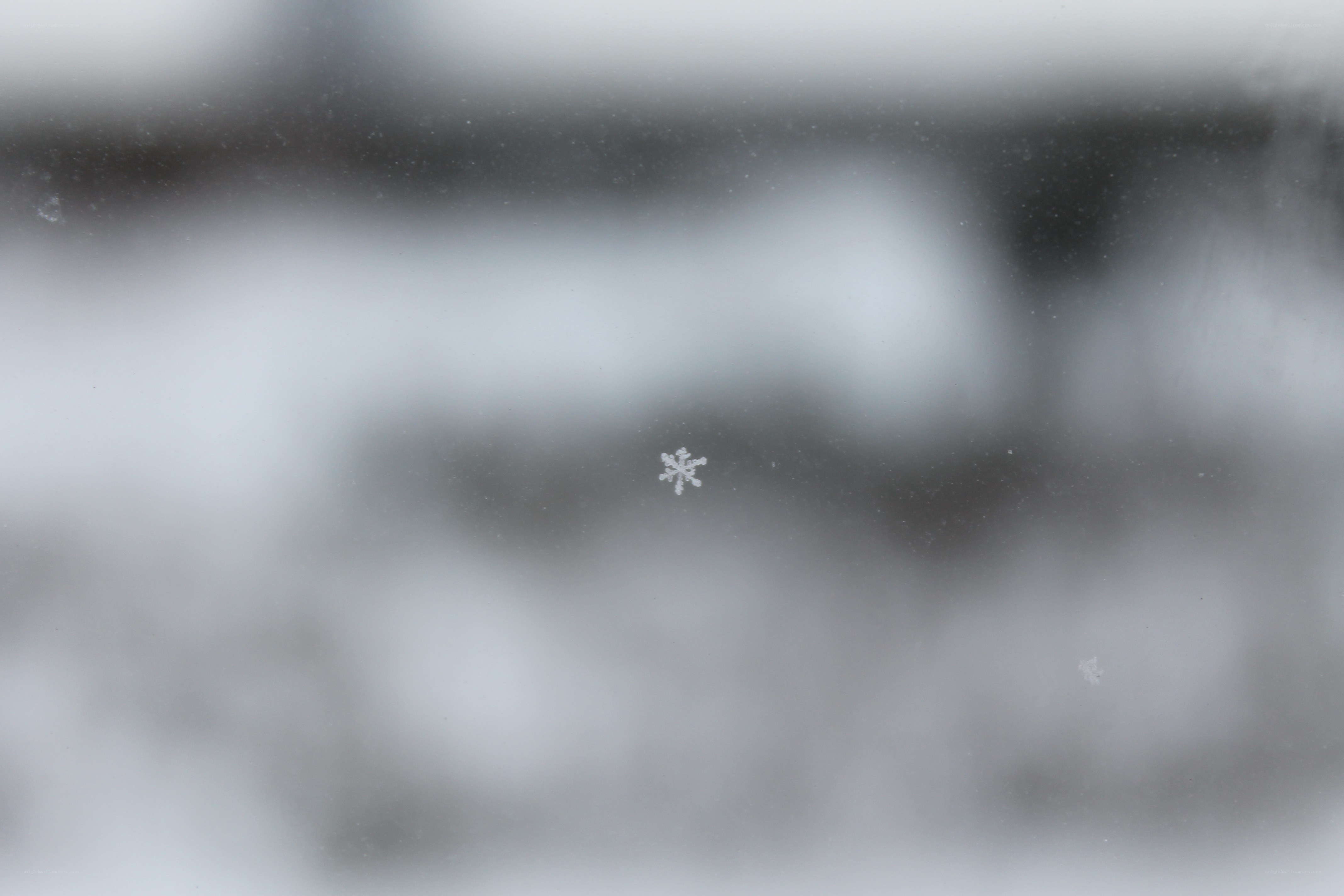 snowflake on glass