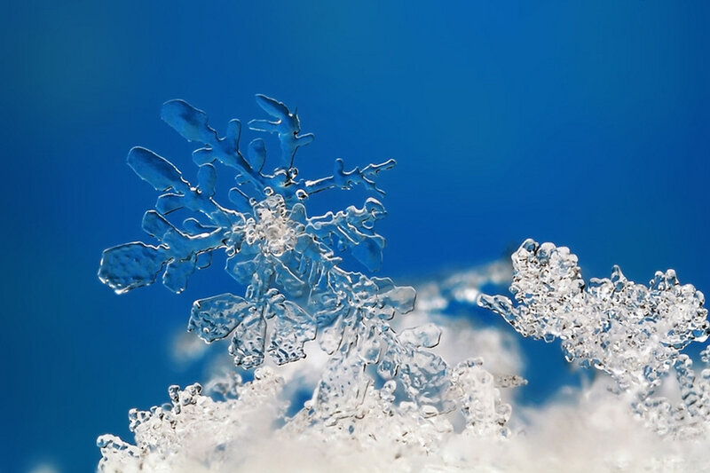 Snowflake on Snow — Blue, Calm