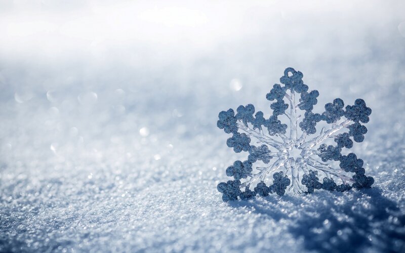 Snowflake on Snow — Blue, Calm, Winter, Photograph