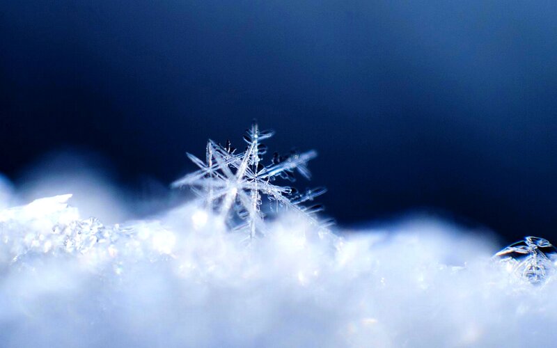 Snowflake on Snow — Blue, Cold