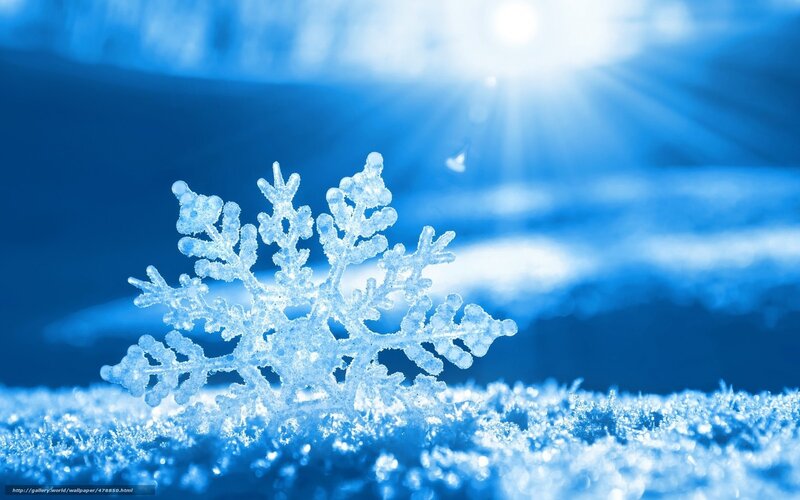 Snowflake on Snow — Blue, Cold, Winter, Photograph, Sunlight
