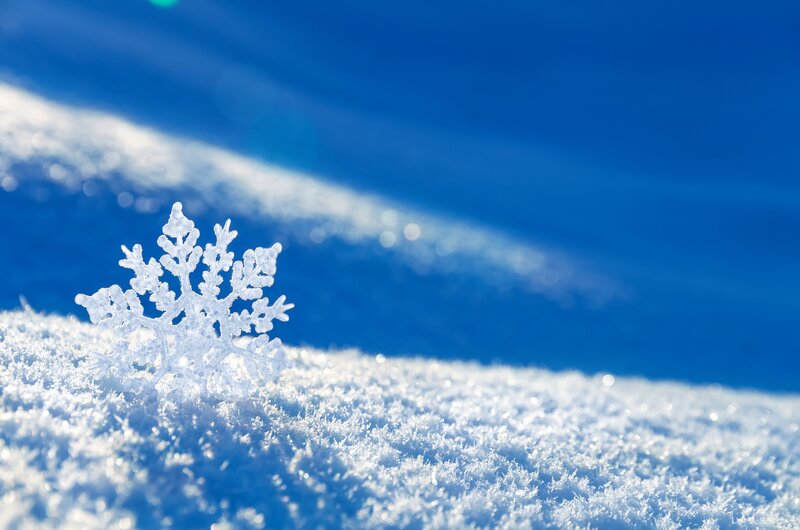 Snowflake on Snow — Blue, Serene