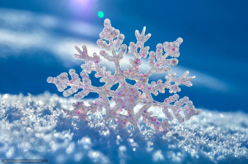 Snowflake on Snow — Blue, Serene, Winter, Photograph, Sky, Sunlight