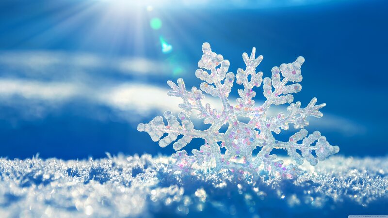 Snowflake on Snow — Blue, Serene, Winter, Photograph