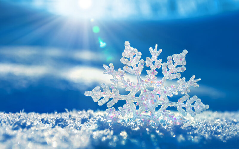 Snowflake on Snow — Blue, Serene, Winter