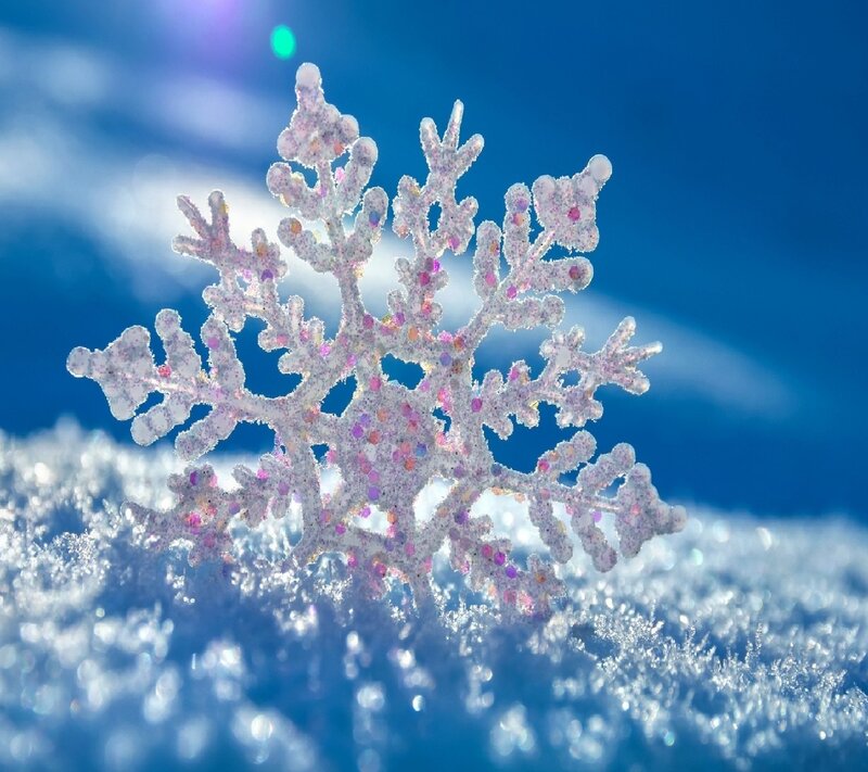 Snowflake on Snow — White, Bright