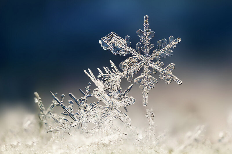 Snowflake on Snow — White, Calm, Winter, Photograph