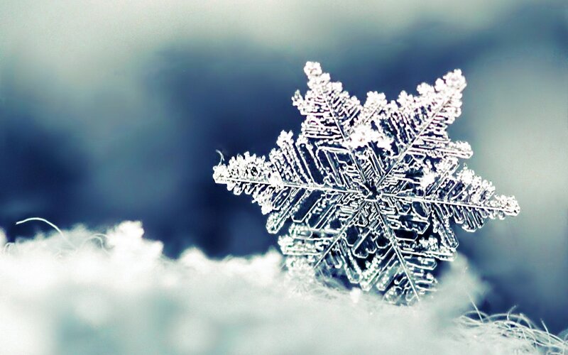 Snowflake on Snow — White, Cold