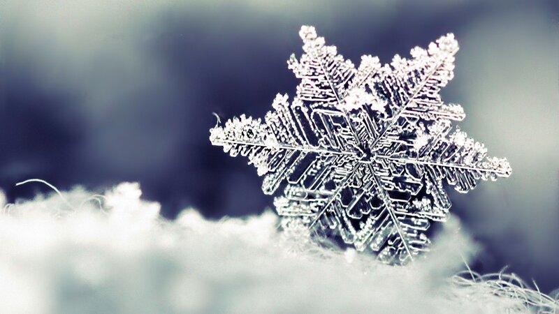 Snowflake on Snow — White, Cold, Winter, Photograph, Blue