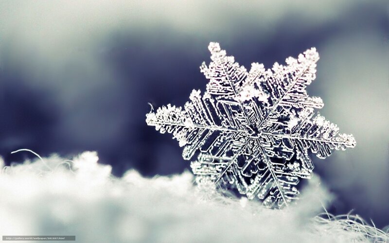 Snowflake on Snow — White, Cold, Winter, Photograph, Ice