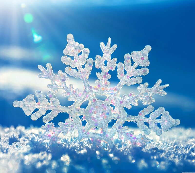 Snowflake on Snow — White, Serene, Winter